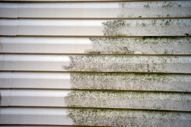 Best Siding Maintenance  in USA